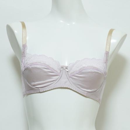 ワイヤーブラ FUJI