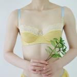 ワイヤーブラ　MIMOSA<br>10